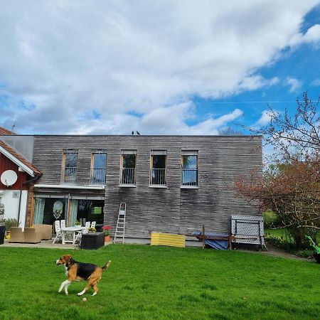 Appartement Hard Bodensee Buitenkant foto